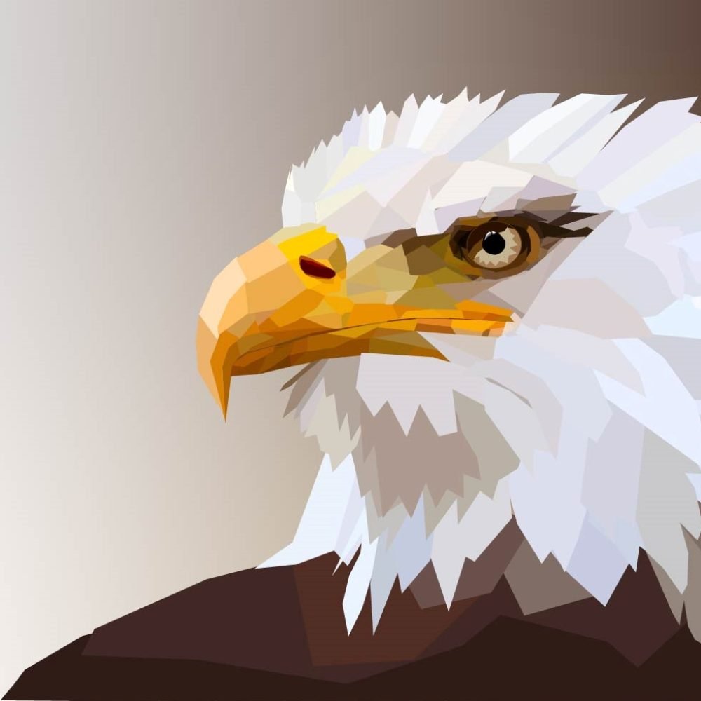 EaglePolygon2_22_gradient_bg_cropped
